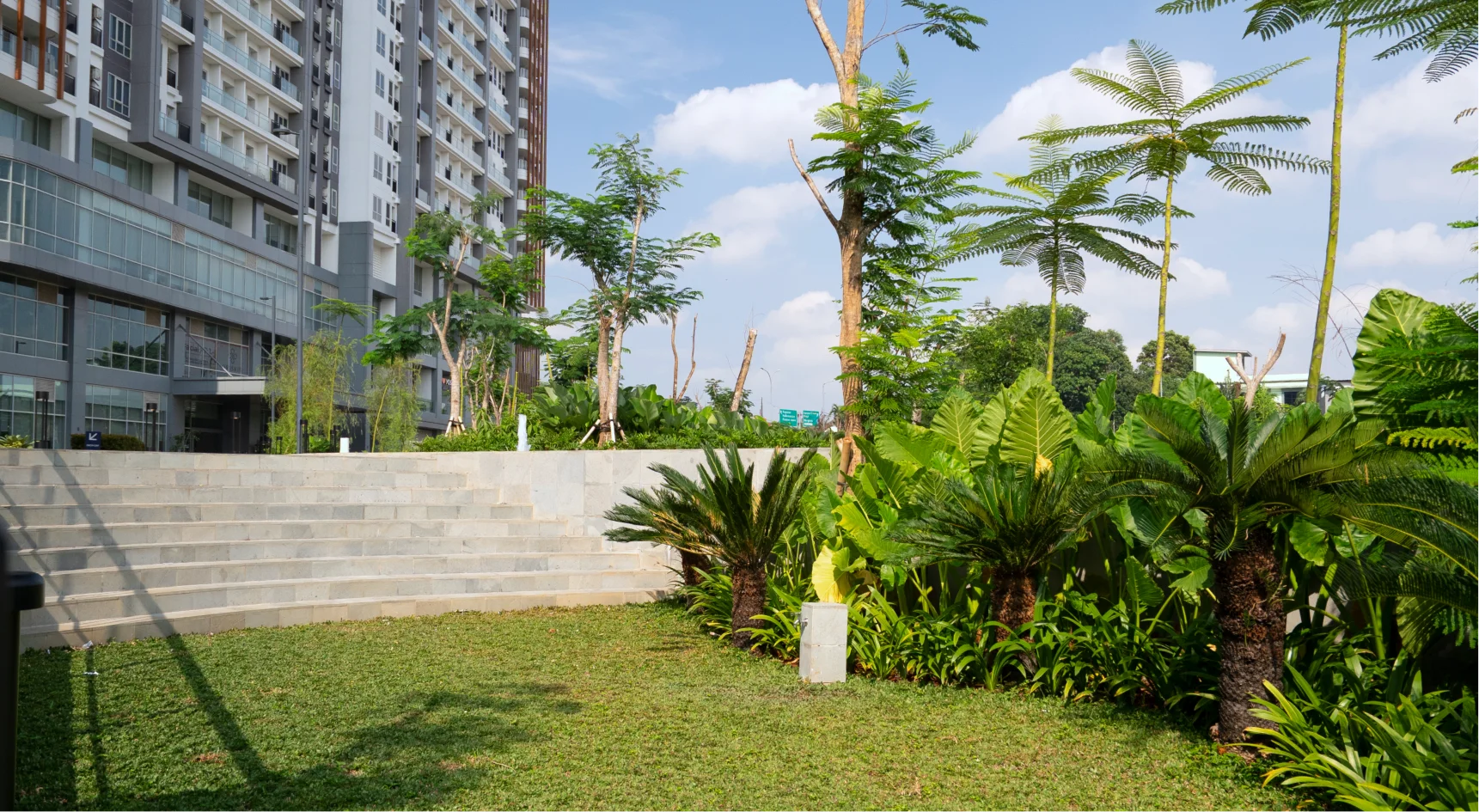 Lush Garden